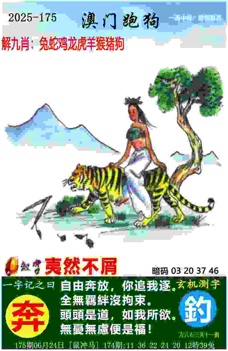 总结表现、磨合队伍 中国女篮主帅宫鲁鸣展望亚洲杯淘汰赛